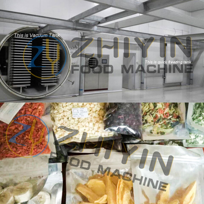 Máquina de secagem de frutas e legumes de 100 kg/h Equipamento de secagem por congelamento a vácuo