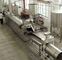 Diesel 800kg/H 900kg/H SUS304 Linha de produção totalmente automática de batatas fritas
