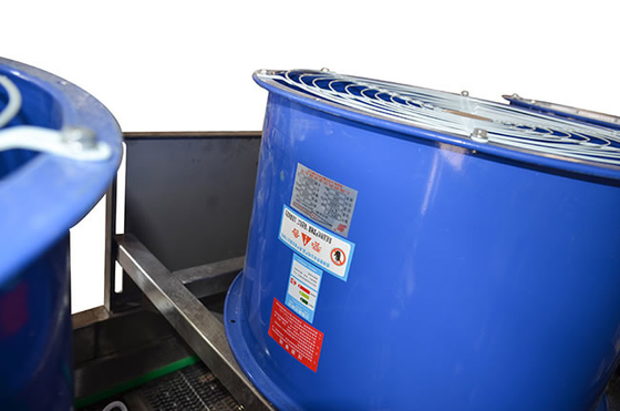 Máquina de secagem de vegetais de feijão de chá, café e mirtilo