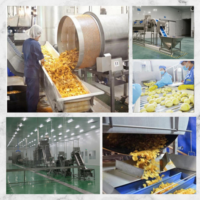10m*2m*2m Linha de produção de batatas fritas A solução perfeita para o seu negócio