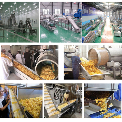 10m*2m*2m e linha de produção de batatas fritas congeladas personalizáveis